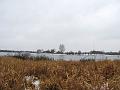 Wandeling De Paalse Plas 24-2-2013 (22)